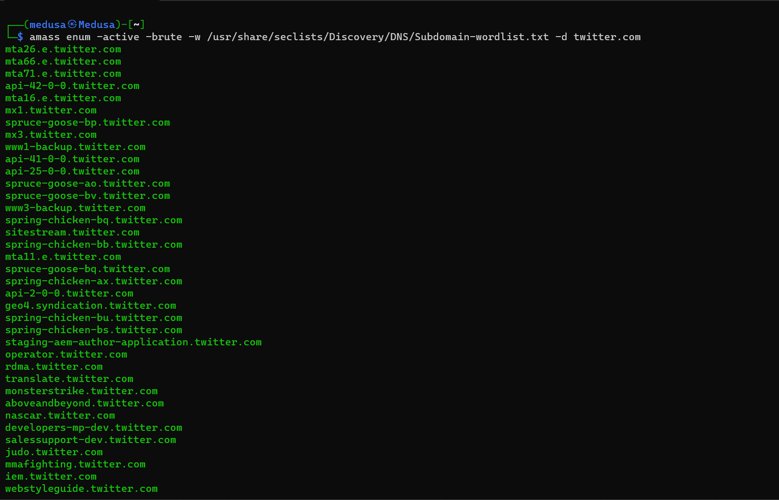 amass twitter subdomains